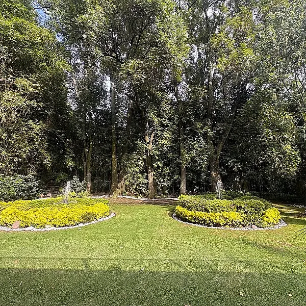 CASA CON JARDINES EN LOMAS DE CHAPULTEPEC