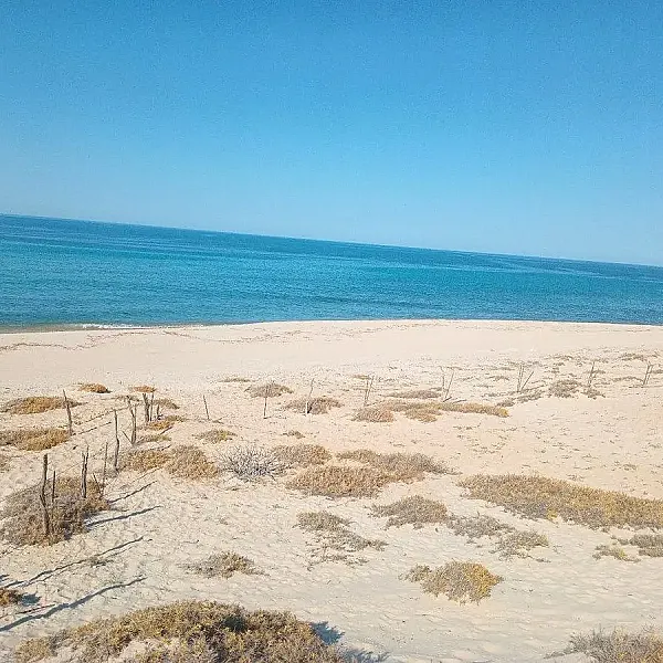 Terreno en venta con playa en Los Torotes, El Cardonal, La Paz, B.C.S., México.