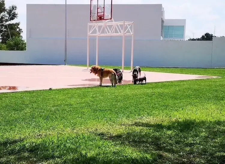 slide