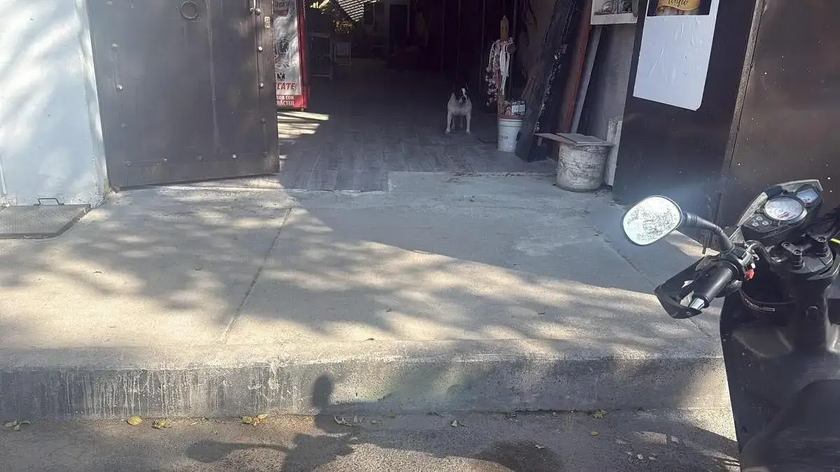 slide