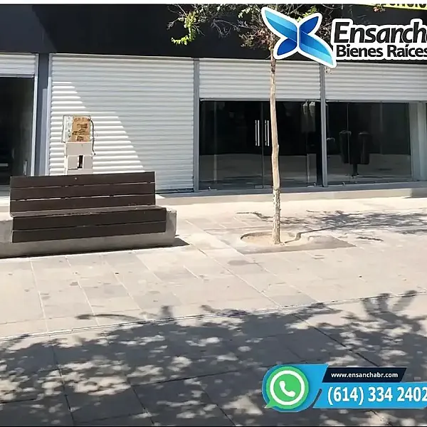 LOCAL ZONA CENTRO CHIHUAHUA IB149