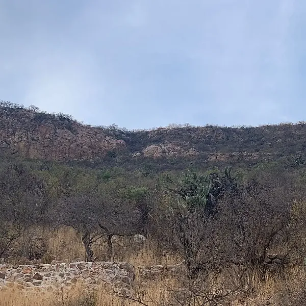 Terreno en venta la Higuera