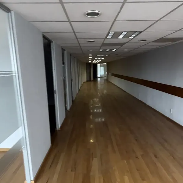 Excelentes oficinas en la anzures