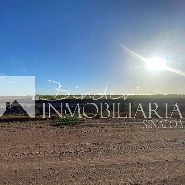 Terreno Agrícola en Santa Rosa Ahome, Sinaloa