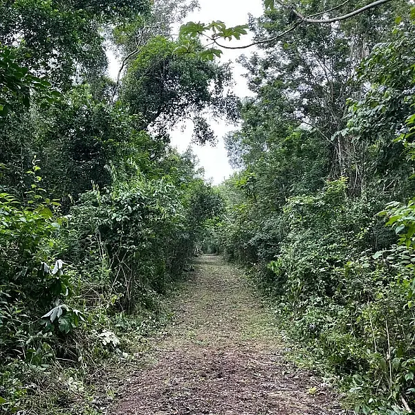 Terreno en venta en ruta de los cenotes