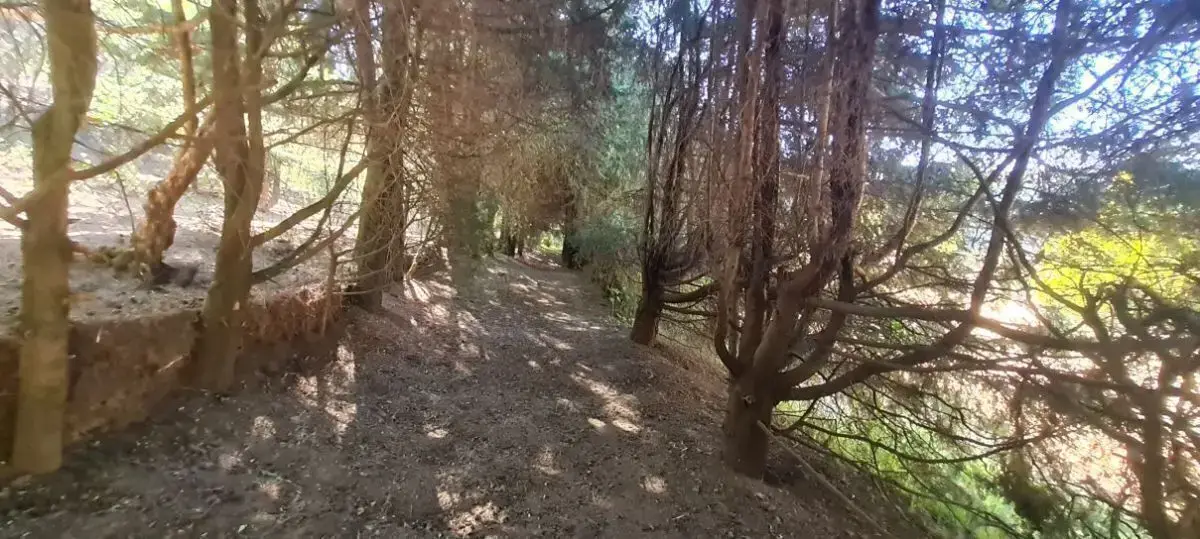slide