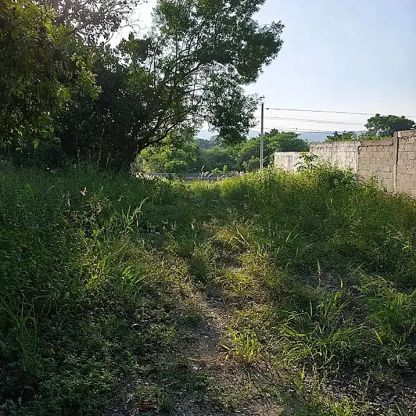 Terreno en venta en la comunidad de Carrizal IB167