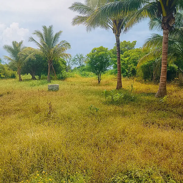 Terreno en venta, en la comunidad de la pocheta, municipio de Lerdo de Tejada, Veracruz