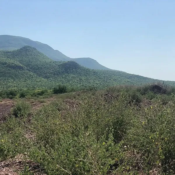 Terreno Ejidal en Tosalibampo, Ahome, Sin.