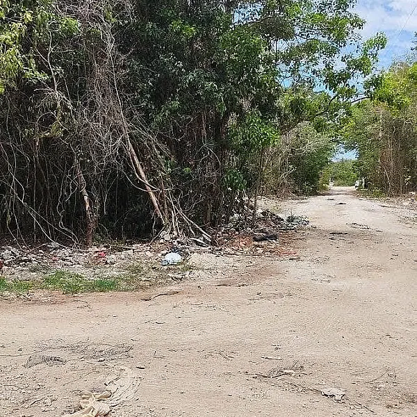 Terreno en venta en localidad de Afredo V Bonfil, Benito Juárez, Cancún, Q. Roo.