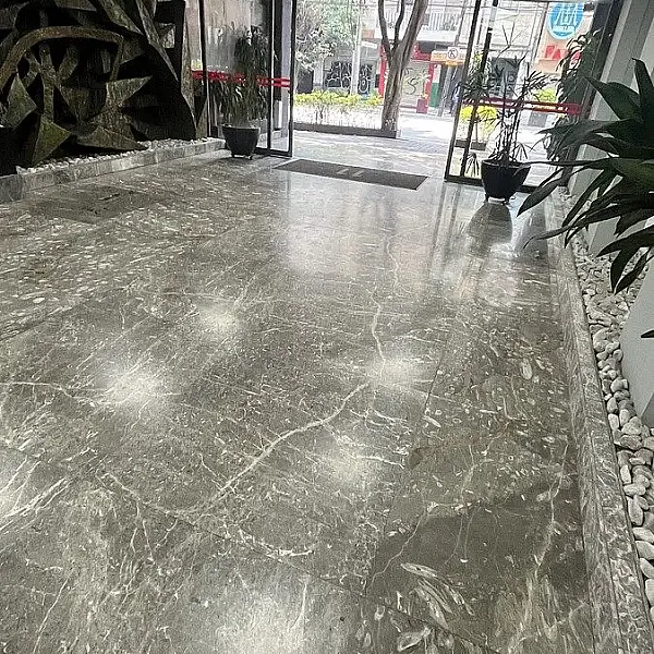 Oficinas en Veronica anzures