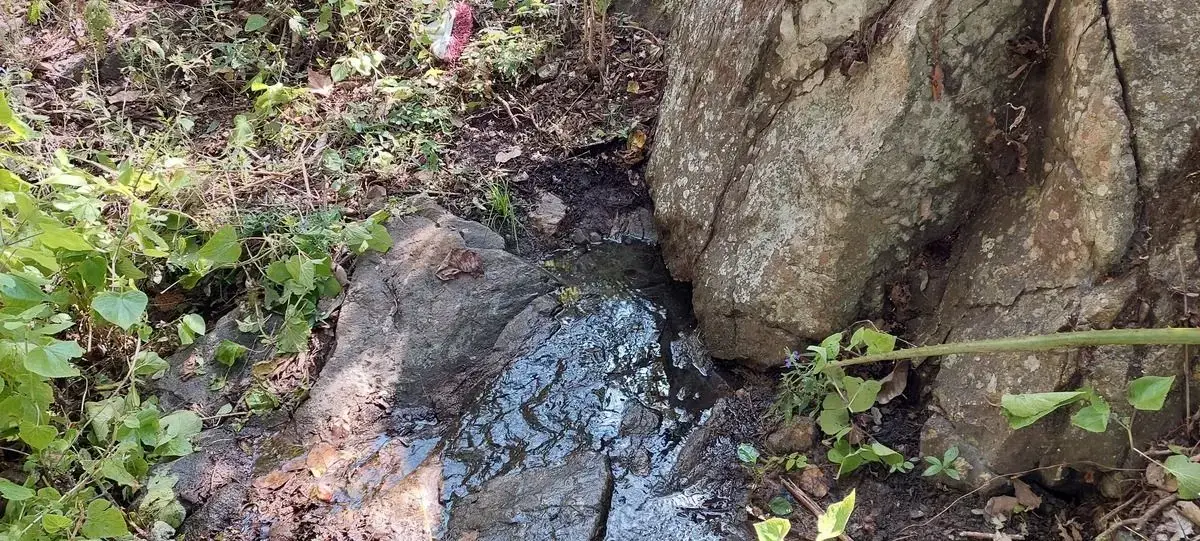 slide